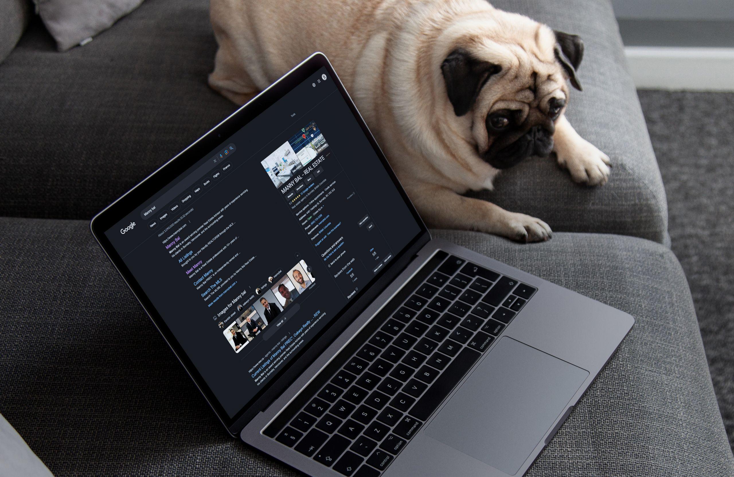 MannyBal_GoogleBusinessPage realtor google profile and location on google search results