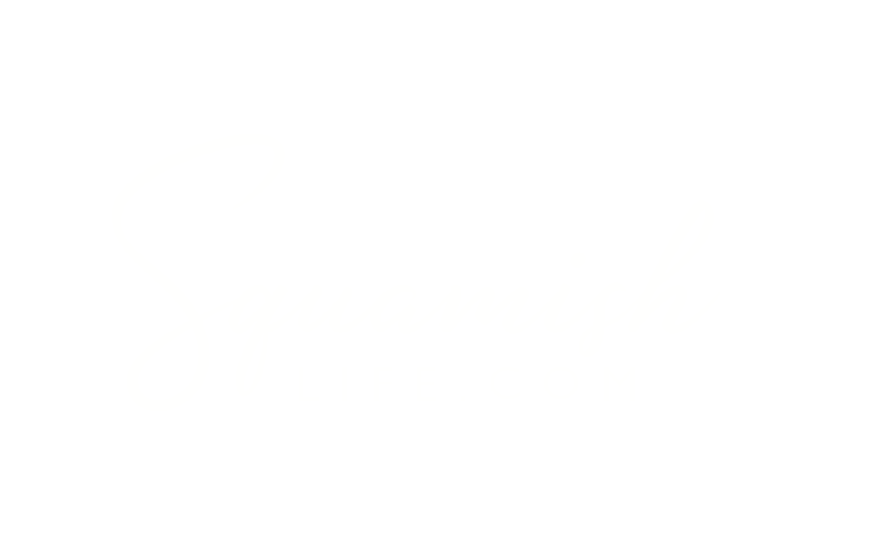 Squamishlife.com Real Estate Branding Logo Design