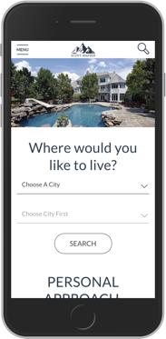 Scott Napier Real estate marketing website design display