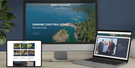 Sunshine Coast Real Estate Team Branding Website and Media Design